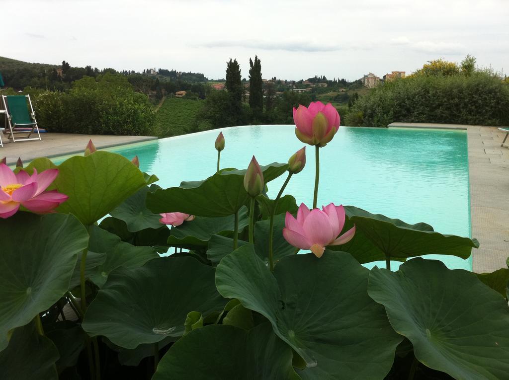 Agriturismo Raccianello San Gimignano Bagian luar foto