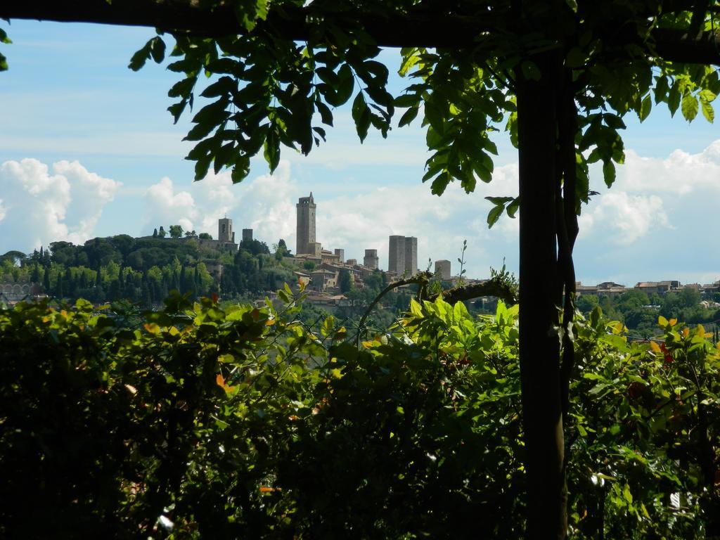 Agriturismo Raccianello San Gimignano Bagian luar foto