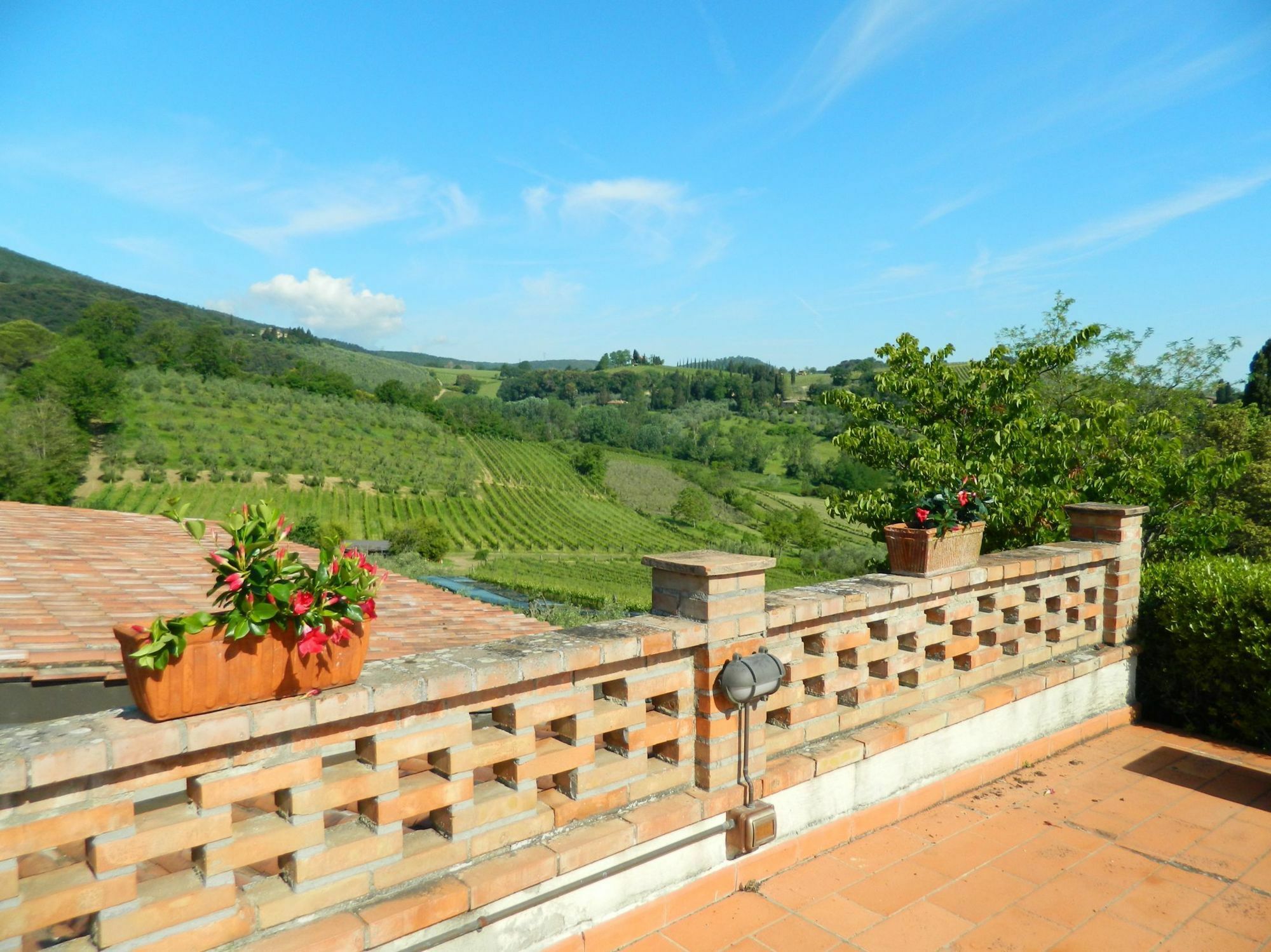 Agriturismo Raccianello San Gimignano Bagian luar foto